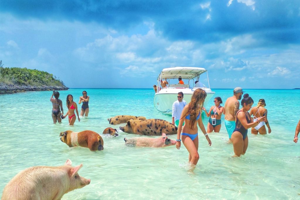 Купить дешевые Горящие туры на Багамских островах https://e-travelbot.ru/otdyx-v-bagamskix-ostrovax/