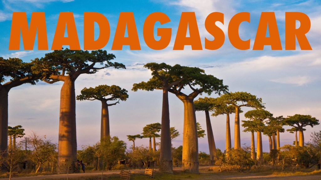 Купить дешевые Горящие туры в Мадагаскар https://e-travelbot.ru/otdyx-v-madagaskare/