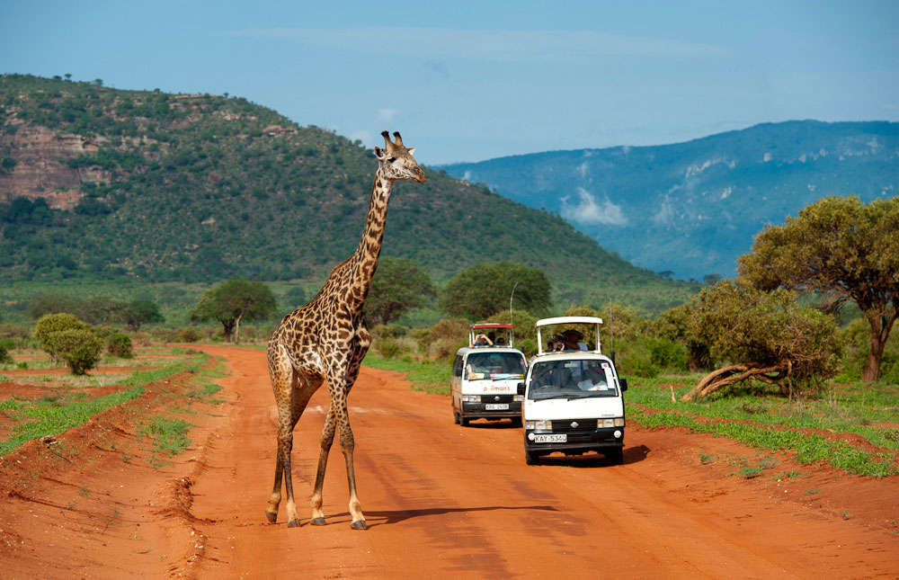 Купить дешевые Горящие туры в Кению https://e-travelbot.ru/otdyx-v-kenii/